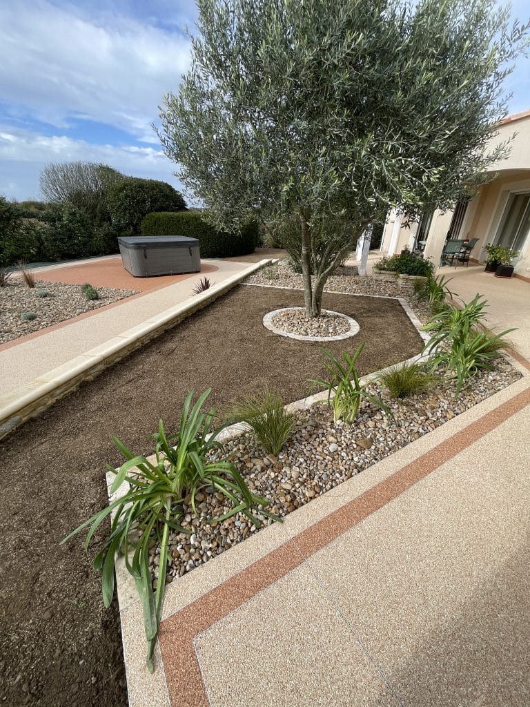 Aménagement de jardin méditerranéen avec olivier, massifs minéraux en graviers, bordures soignées et terrasse attenante à la maison.